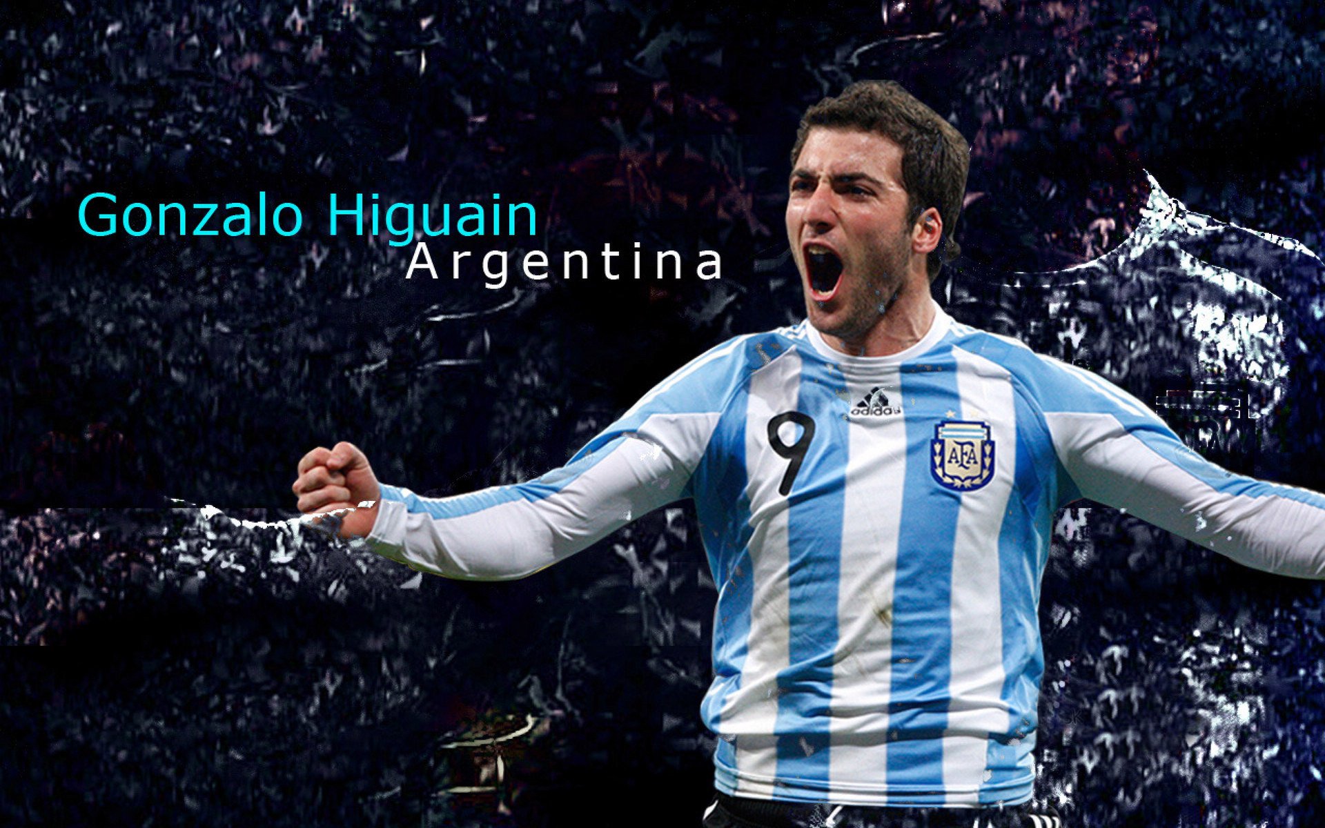 世界杯球场观赛体验升级 数字化服务成为新亮点