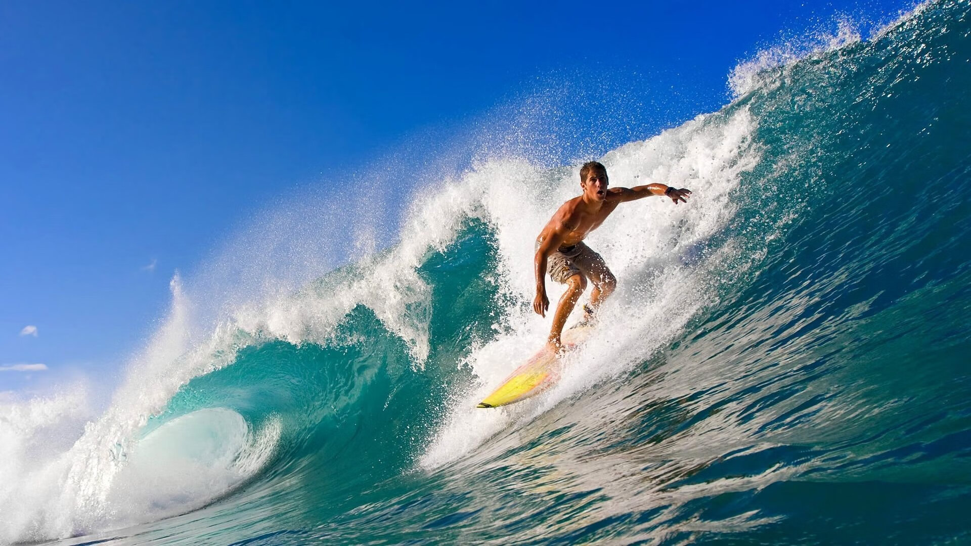 篮球明星年度收入排行